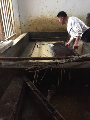 Paper Making, Tantau